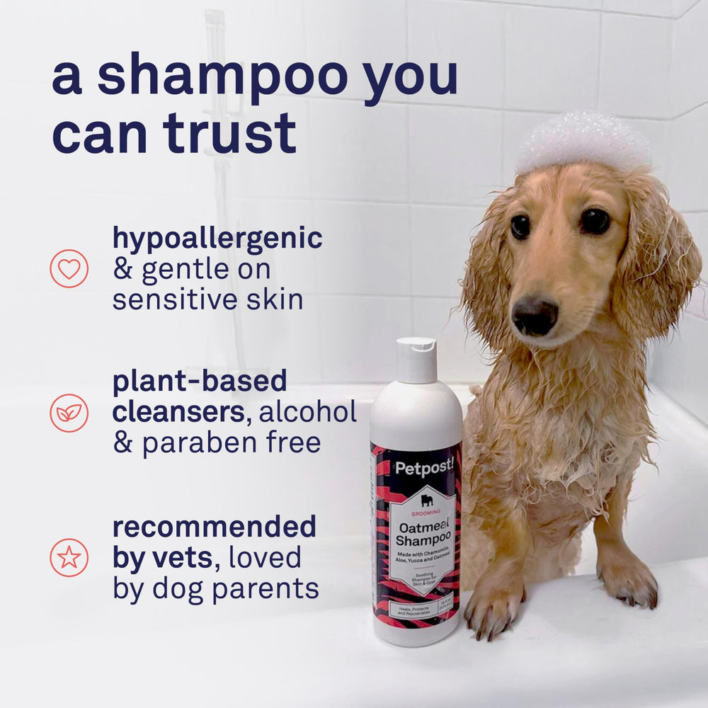 Petpost pelo suave tras lavado, resultado hidratado y manejable.