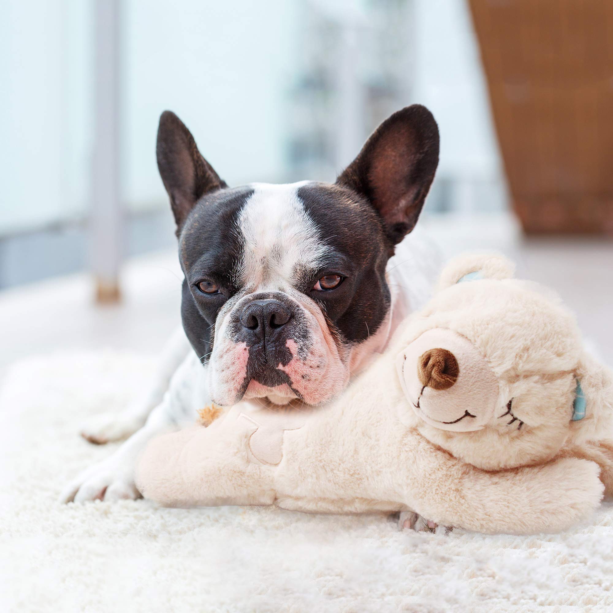 Peluche PetPrime con textura suave, ideal para juego.