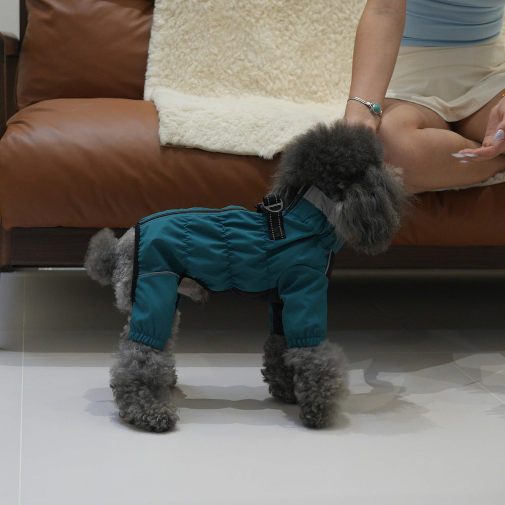 Anillo de correa integrado en el traje de perro PetPromate para paseos seguros