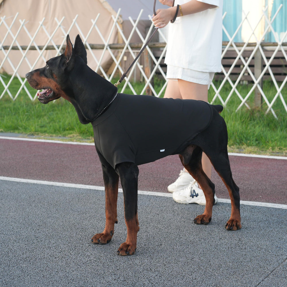 PetPromate reduce pelo suelto para hogares más limpios.