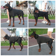 PetPromate protege piel sensible durante todas las estaciones.
