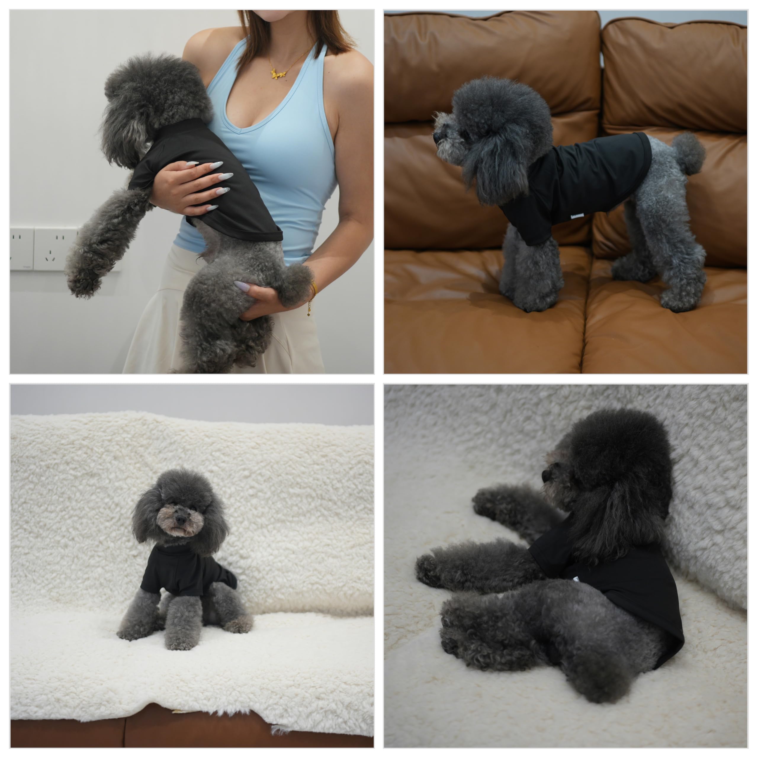 Uso interior y exterior con PetPromate en todas las estaciones.