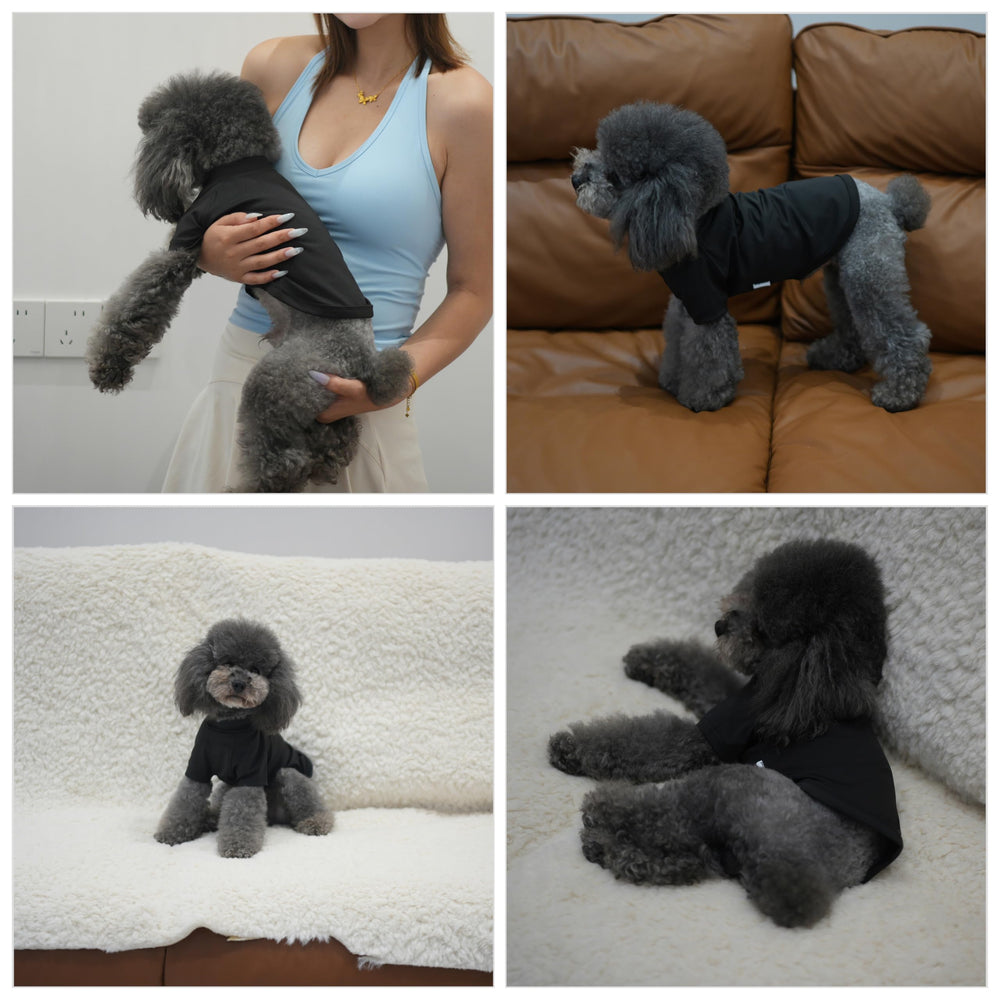 Uso interior y exterior con PetPromate en todas las estaciones.