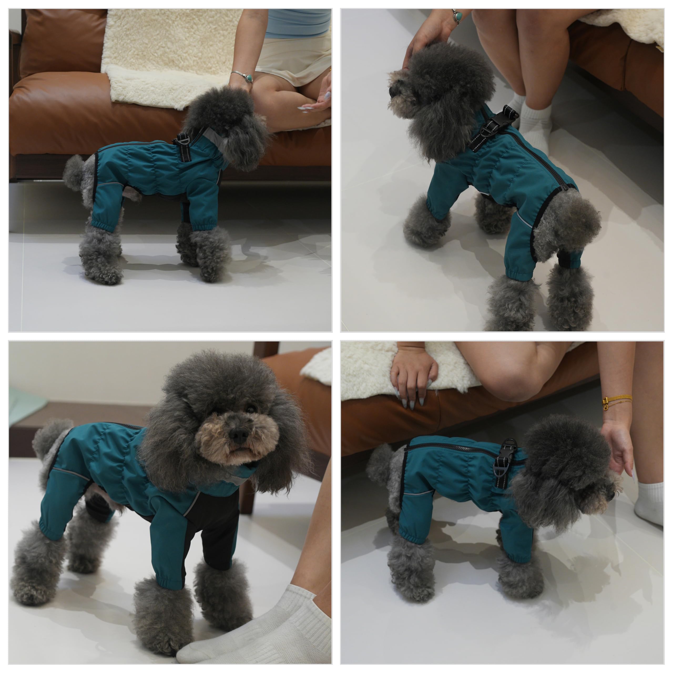 Detalles reflectantes en el traje de perro para mayor visibilidad nocturna