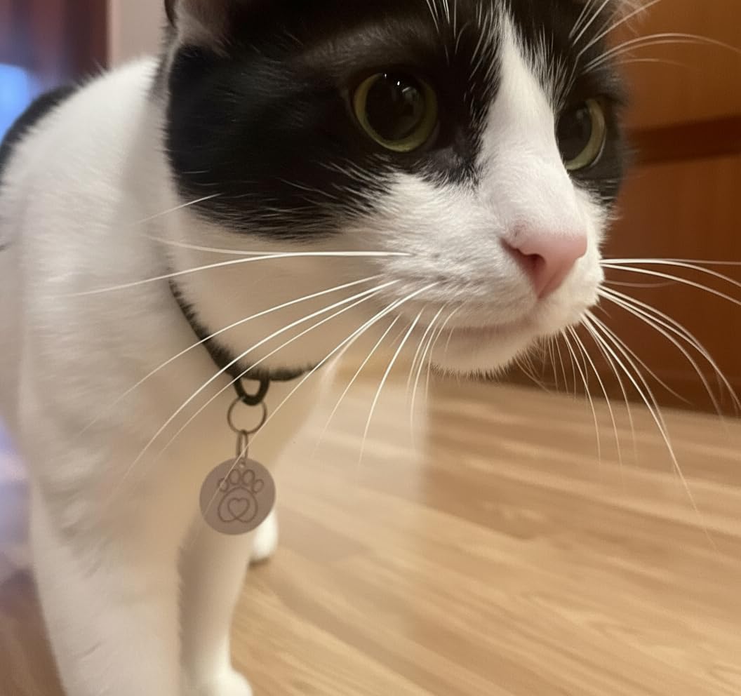 PETQUALITY Show That Love compatibilidad de puerta para microchip, con libertad para tus felinos.