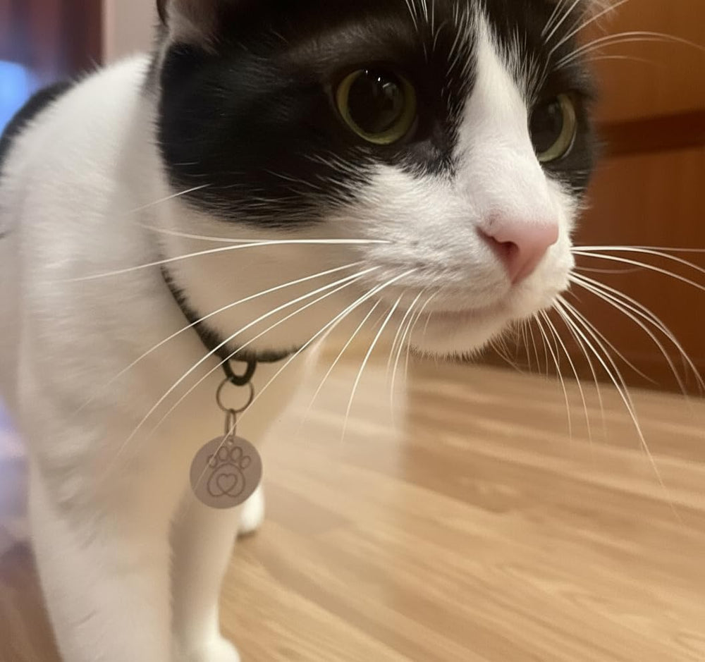 PETQUALITY Show That Love compatibilidad de puerta para microchip, con libertad para tus felinos.