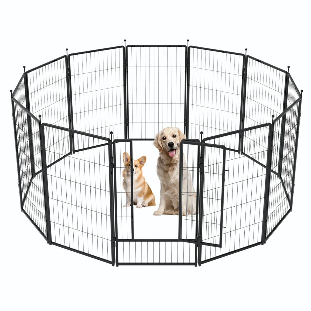 PETREEK jaula de perro 42 pulgadas, uso interior y exterior, segura