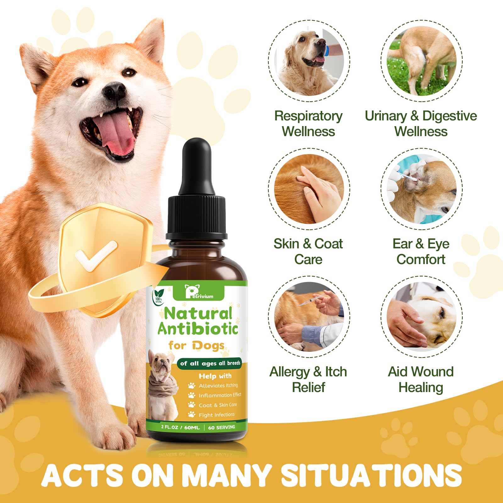 Petrivium: gotas naturales para gatos, apoyo digestivo y bienestar.