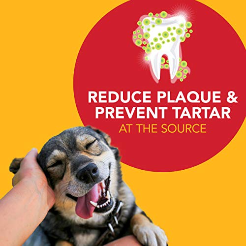 Kit dental Petrodex completo para perros y cachorros