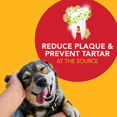 Kit dental Petrodex completo para perros y cachorros
