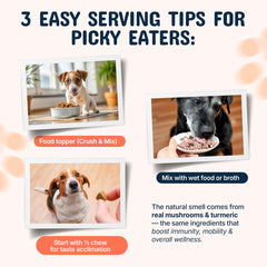 Pets Are Kids Too: perro masticando gomitas para movilidad y bienestar.