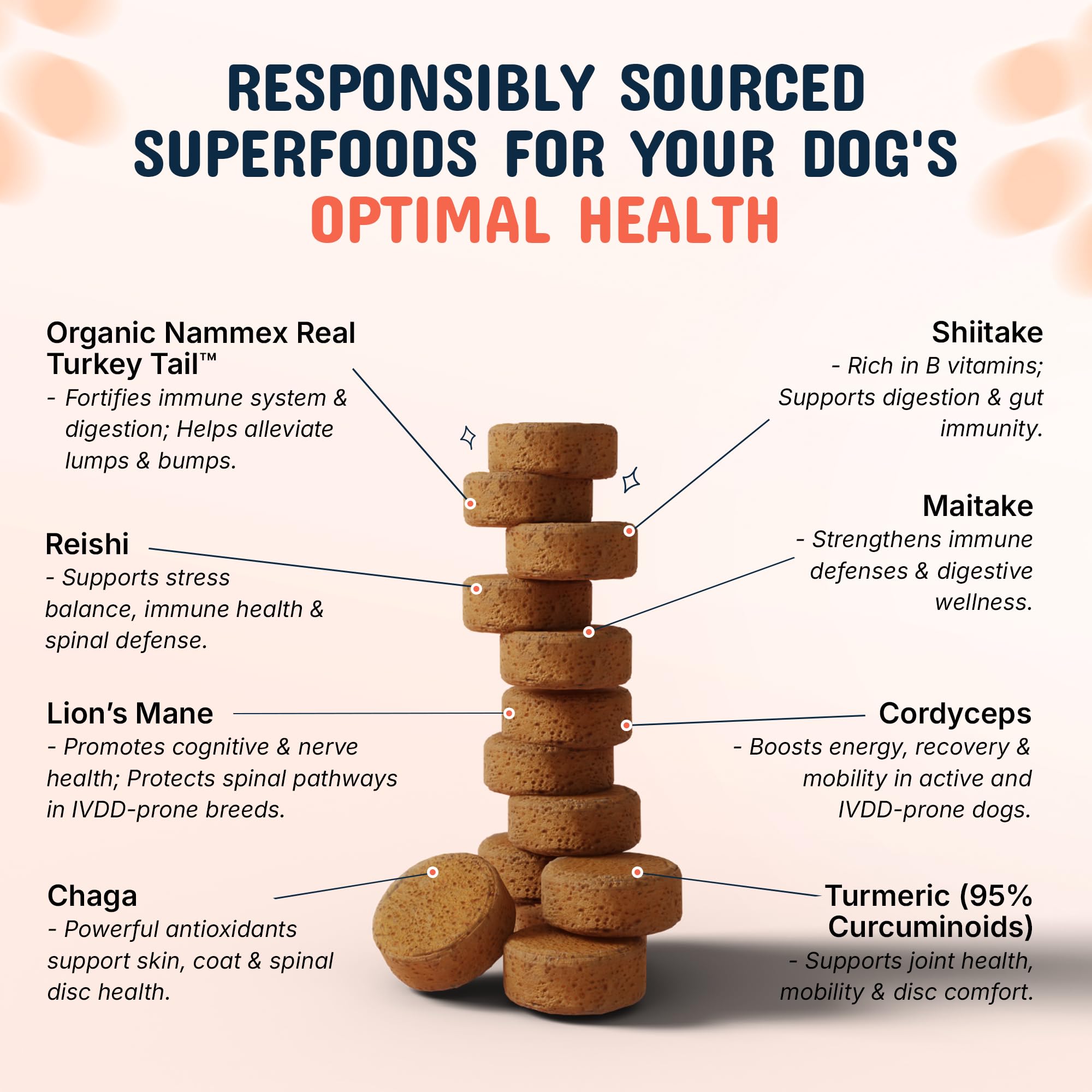 Pets Are Kids Too: textura masticable agradable para perros.