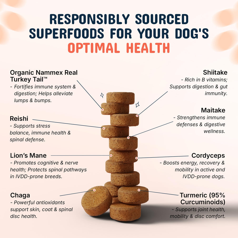 Pets Are Kids Too: textura masticable agradable para perros.