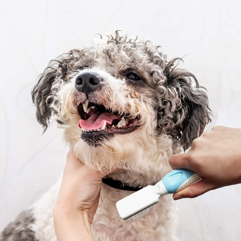 Pets First desenredador compatible con todo tipo de pelo en perros y gatos.