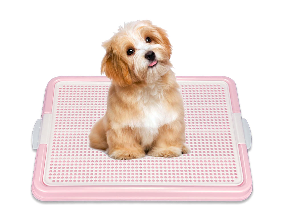 Pets-N-Me porta almohadillas urinarias rosa con malla superior para drenaje rápido