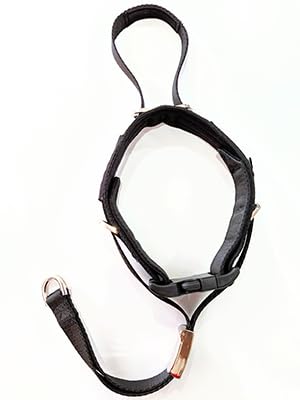 Pets ProMax collar de cabeza para entrenamiento diario y paseo cómodo