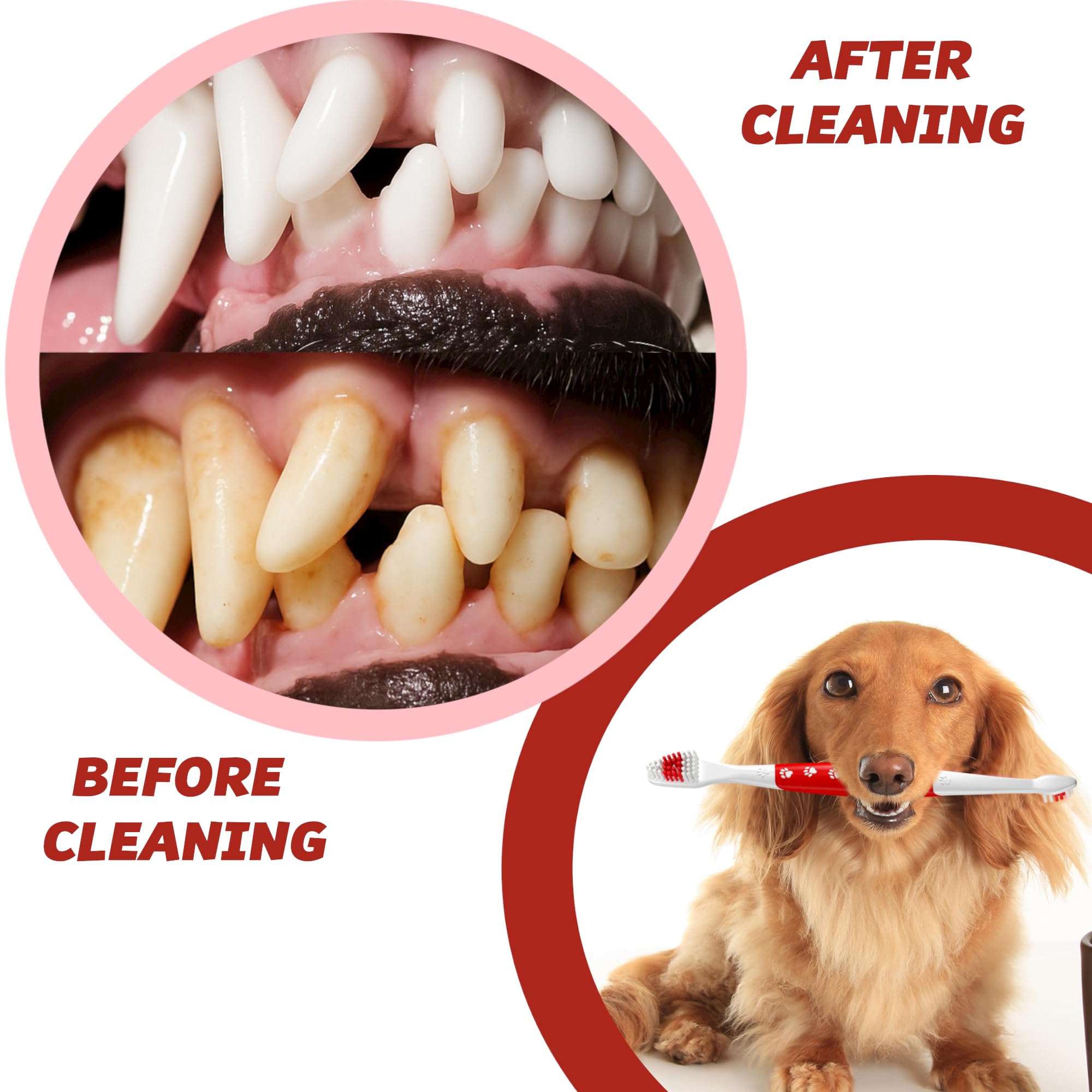 Pets & Pupps: cepillo dental para cuidado diario sin esfuerzo.