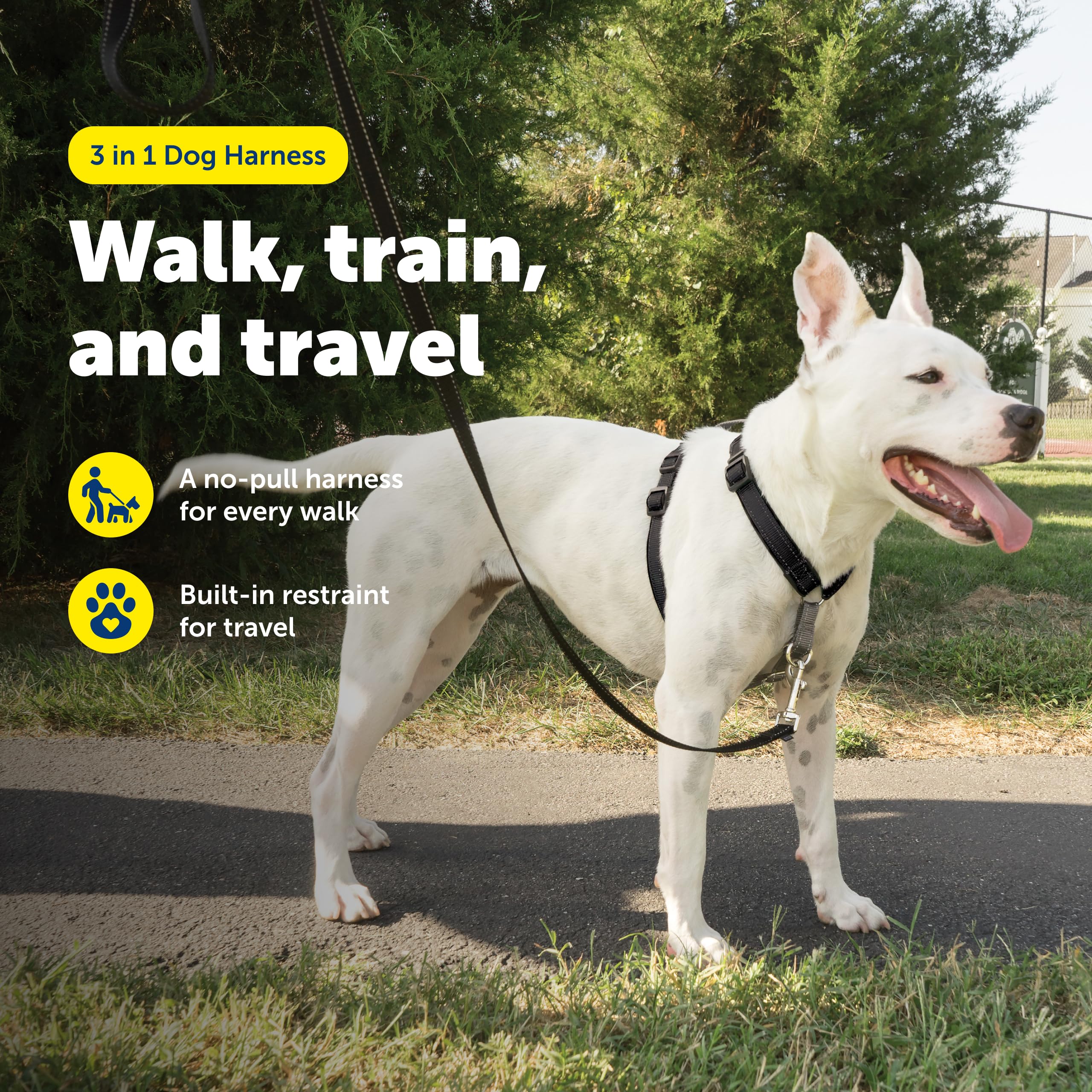PetSafe 3-en-1 con martingala para entrenamiento suave