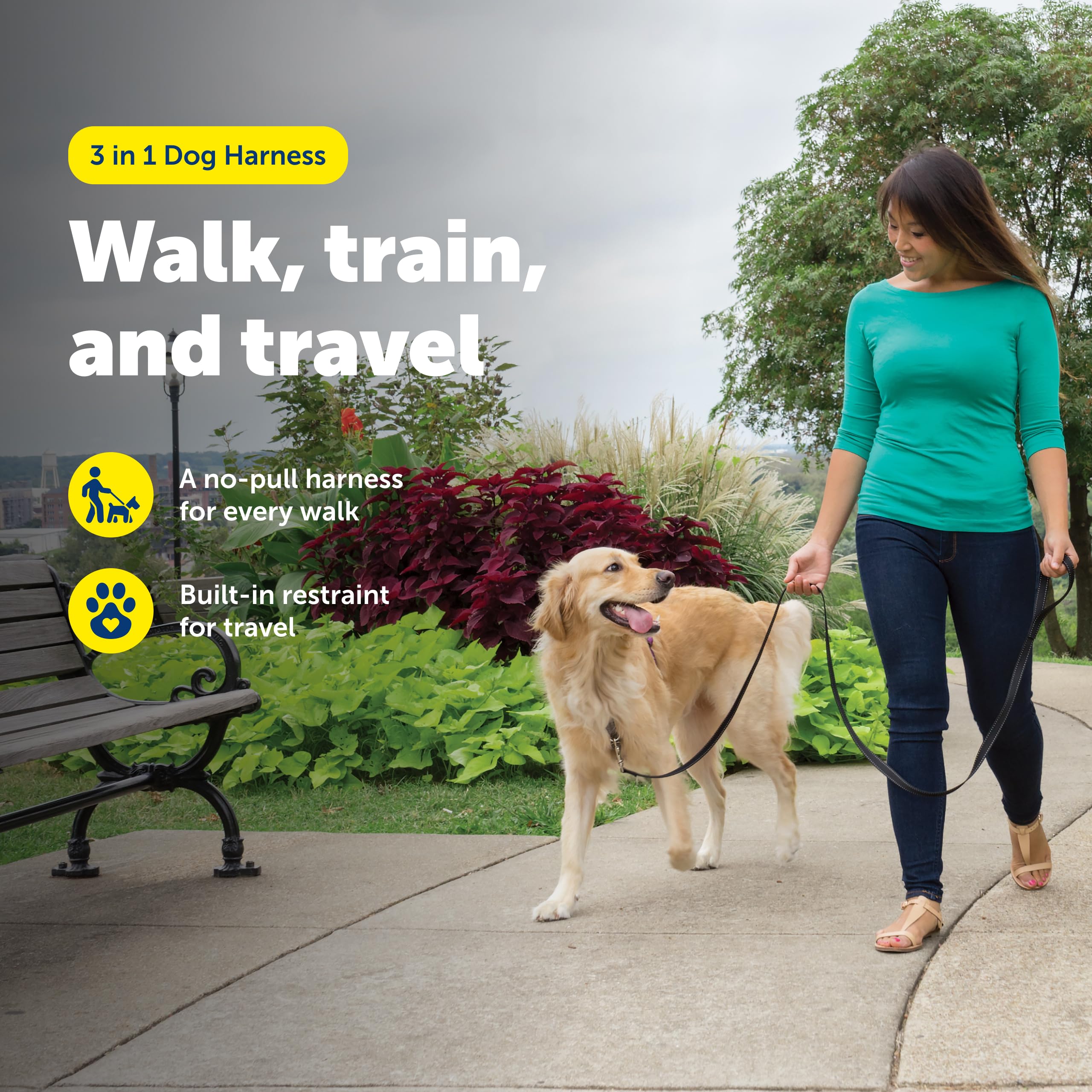 Arnés PetSafe 3 en 1 con bucle martingale para control gradual.