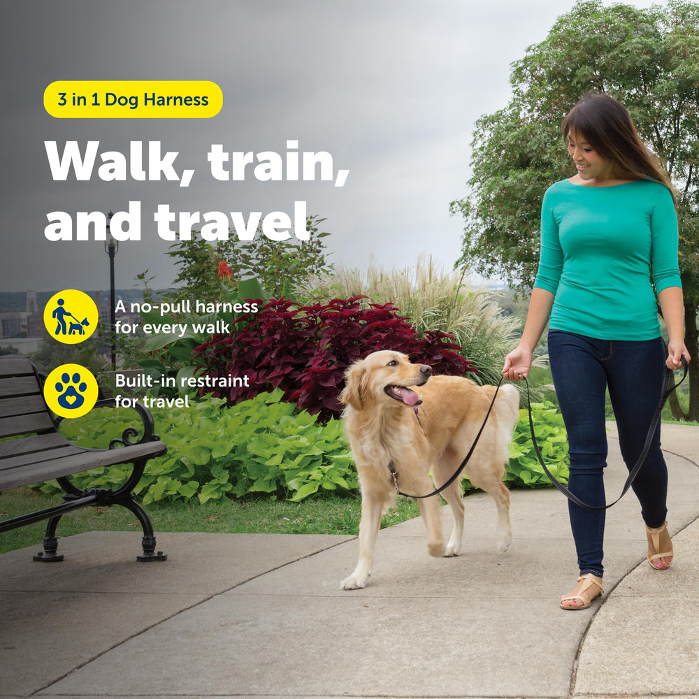 Arnés PetSafe 3 en 1 con bucle martingale para control gradual.