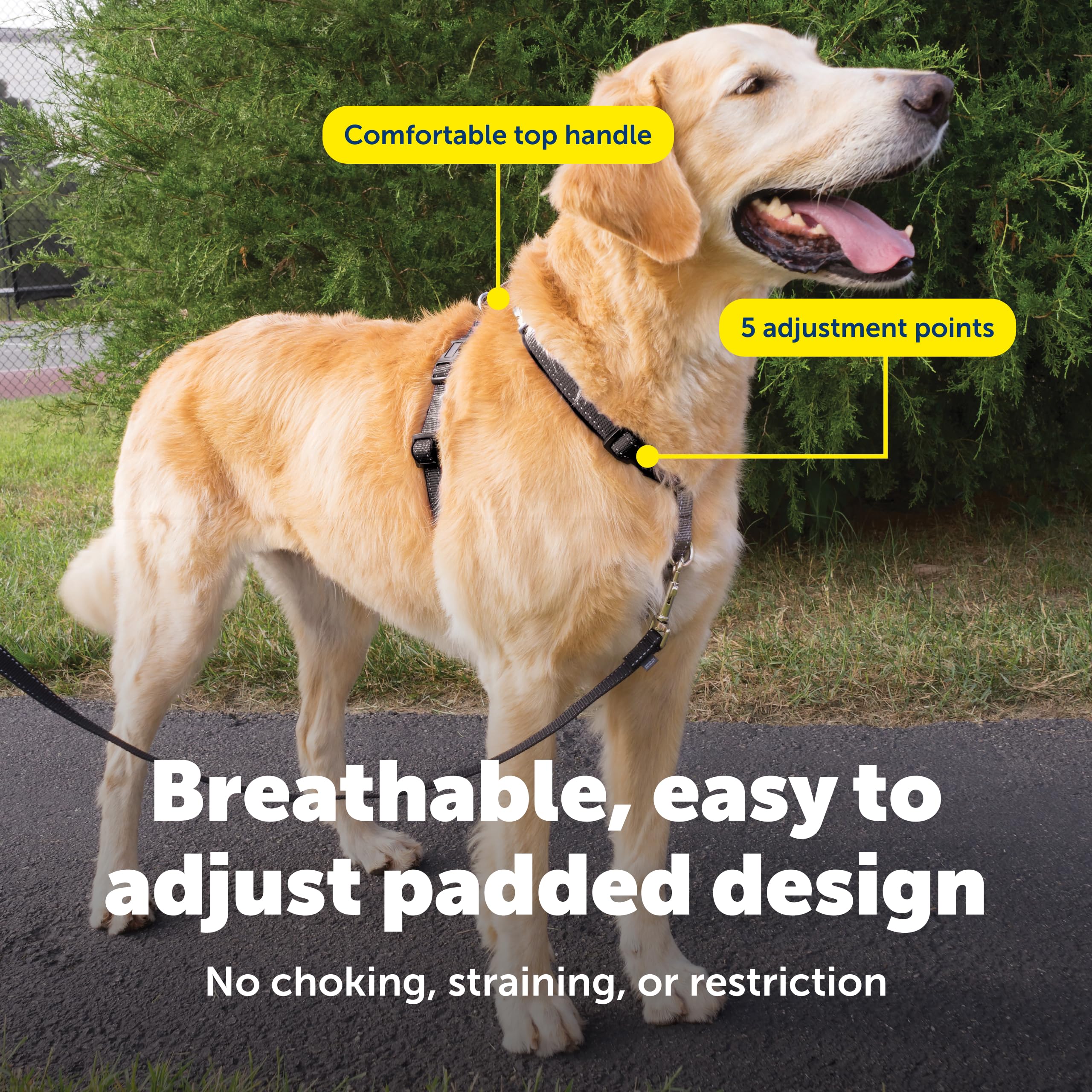 Arnés PetSafe 3 en 1 con costuras reflectantes para visibilidad nocturna.