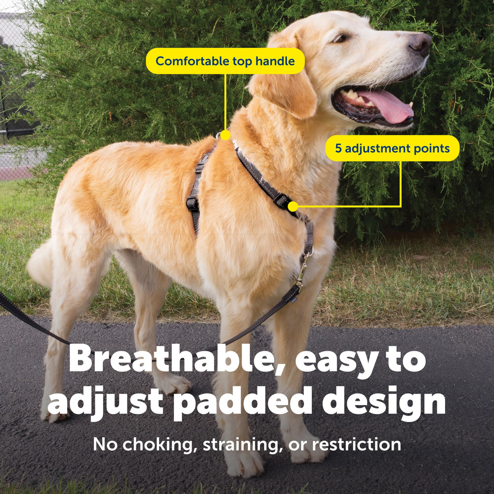 Arnés PetSafe 3 en 1 con costuras reflectantes para visibilidad nocturna.