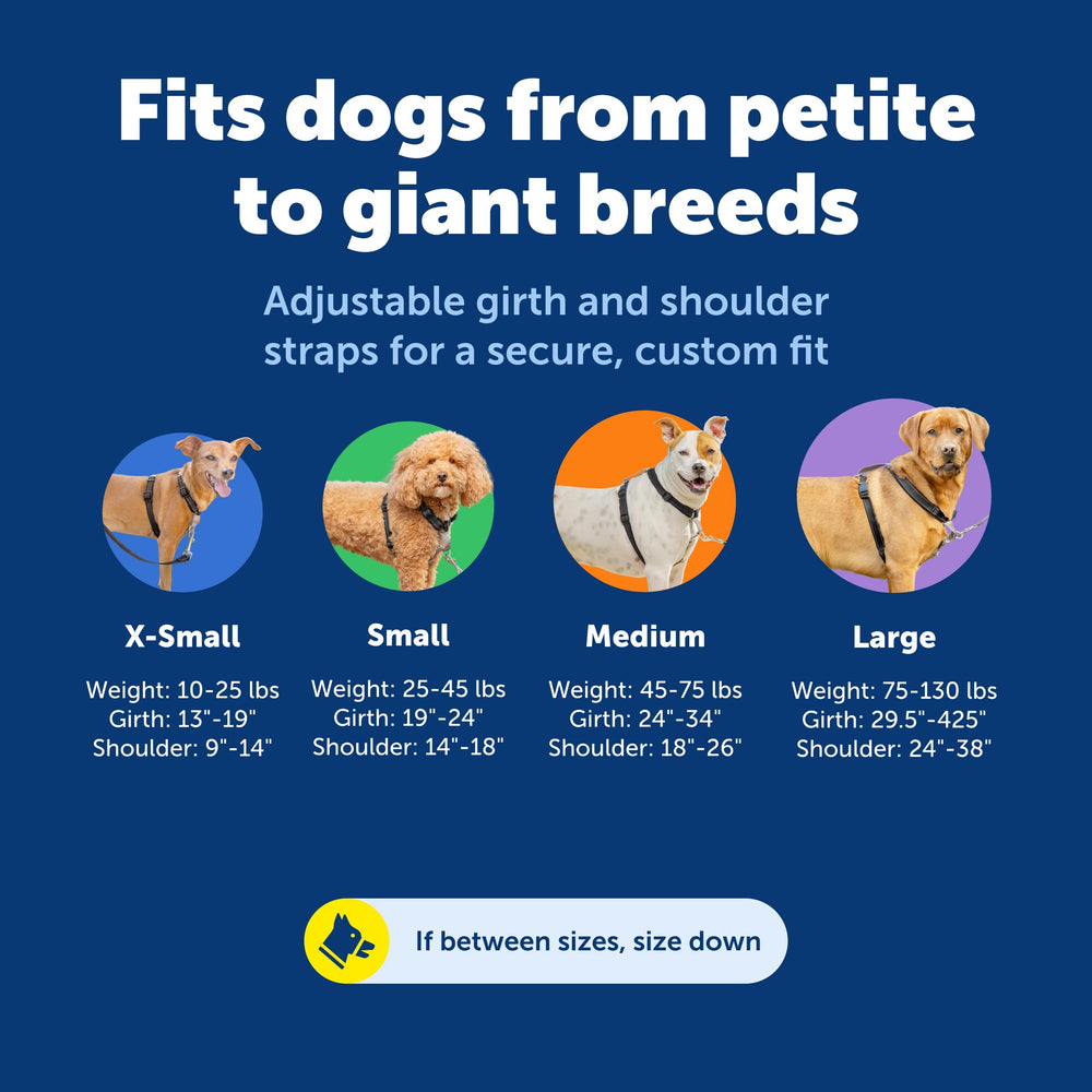 Arnés PetSafe 3 en 1 con enganche para cinturón de coche.