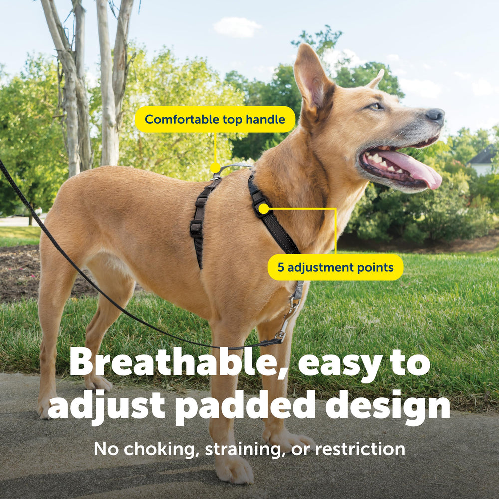 PetSafe acolchado suave para mayor comodidad durante caminatas