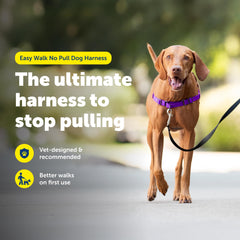 PetSafe arnés con correas ajustables para ajuste personalizado y seguridad.