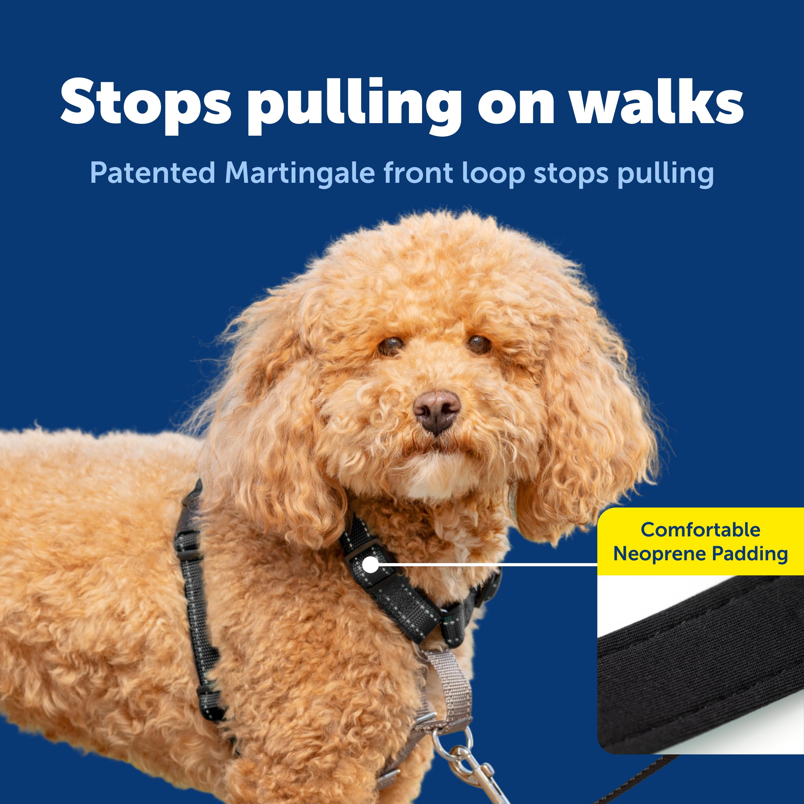 Arnés PetSafe con costuras reflectivas para mayor visibilidad nocturna.