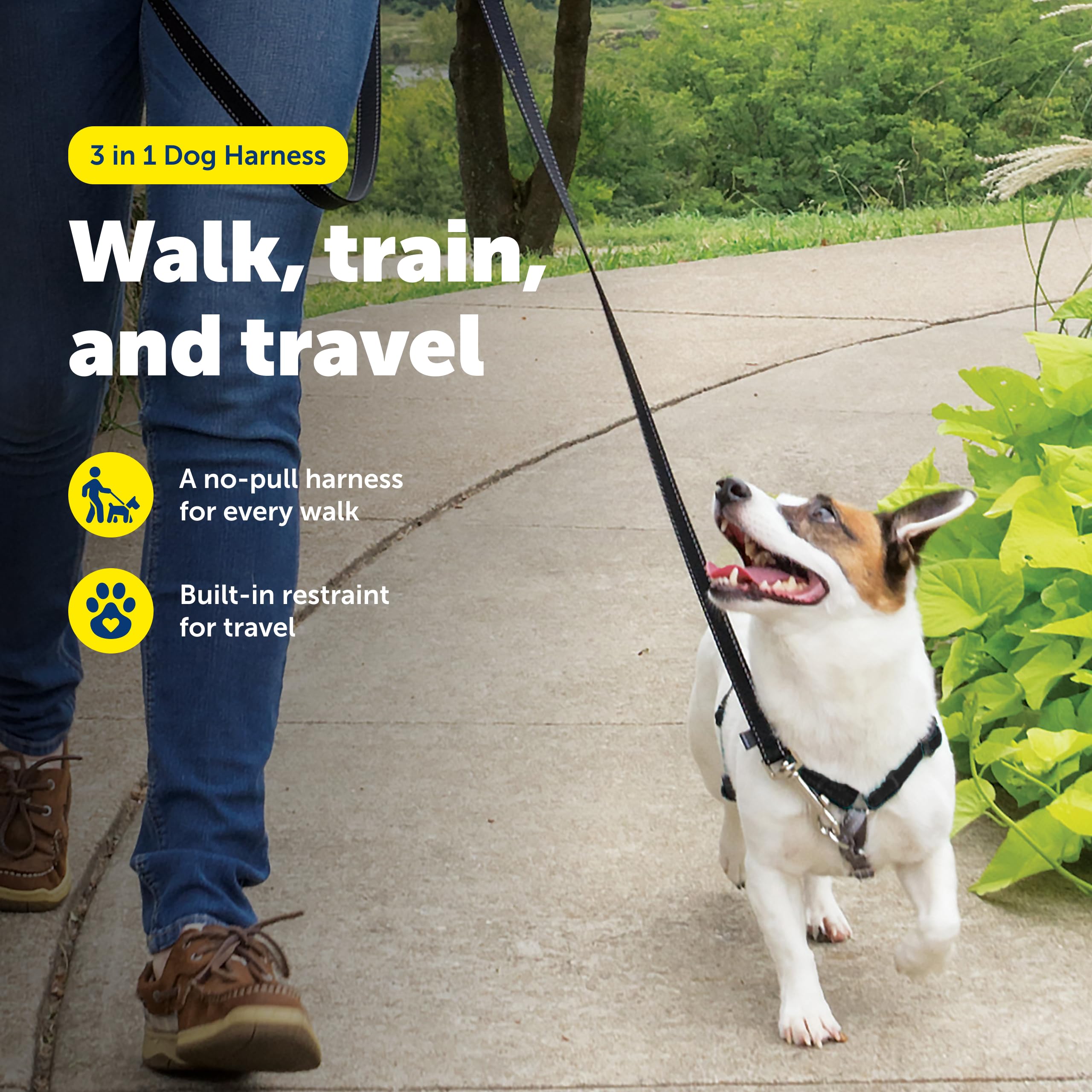 Arnés PetSafe con diseño martingale para entrenamiento suave y reducción de tirones.