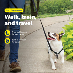 Arnés PetSafe con diseño martingale para entrenamiento suave y reducción de tirones.