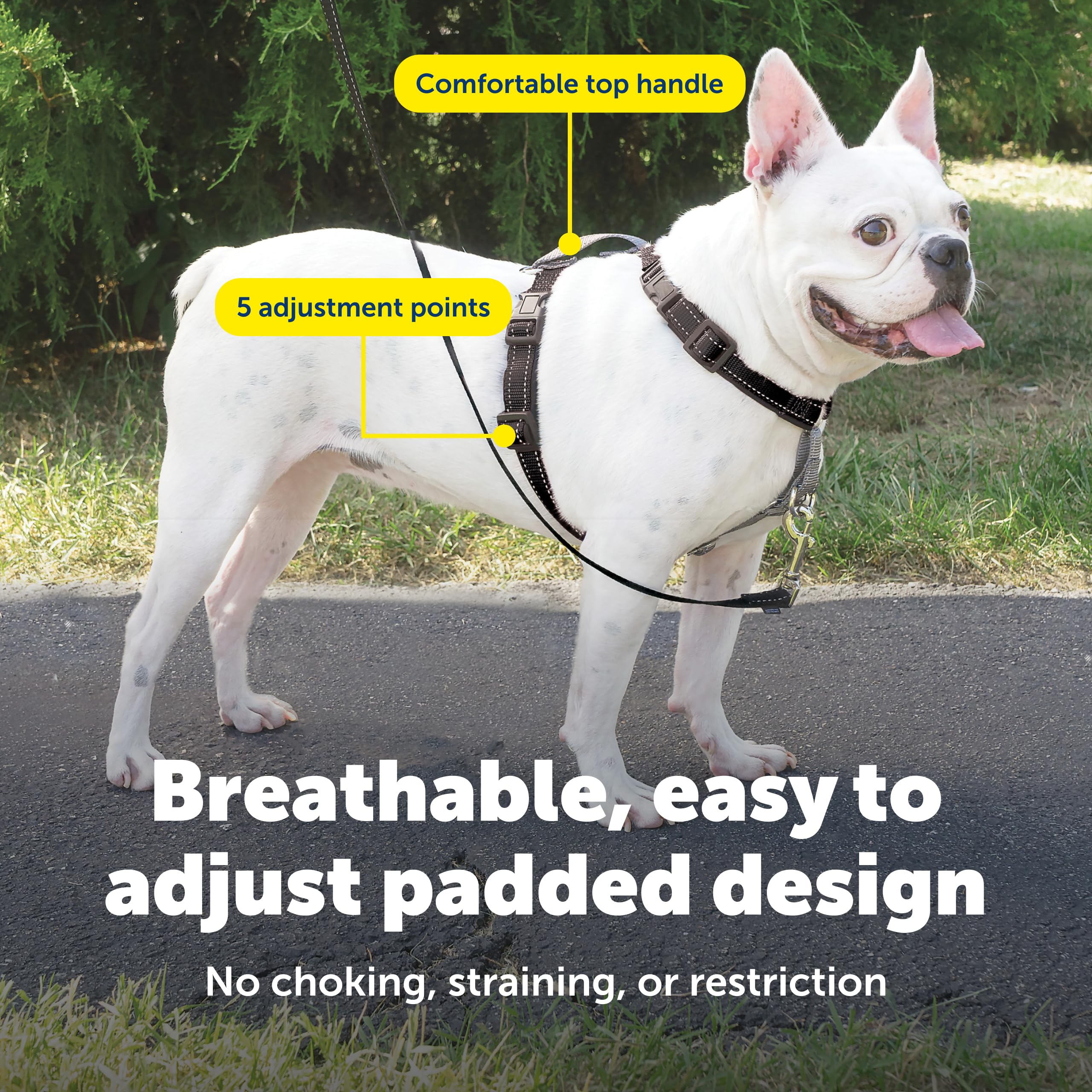 Arnés PetSafe de nylon transpirable para comodidad durante paseos largos.