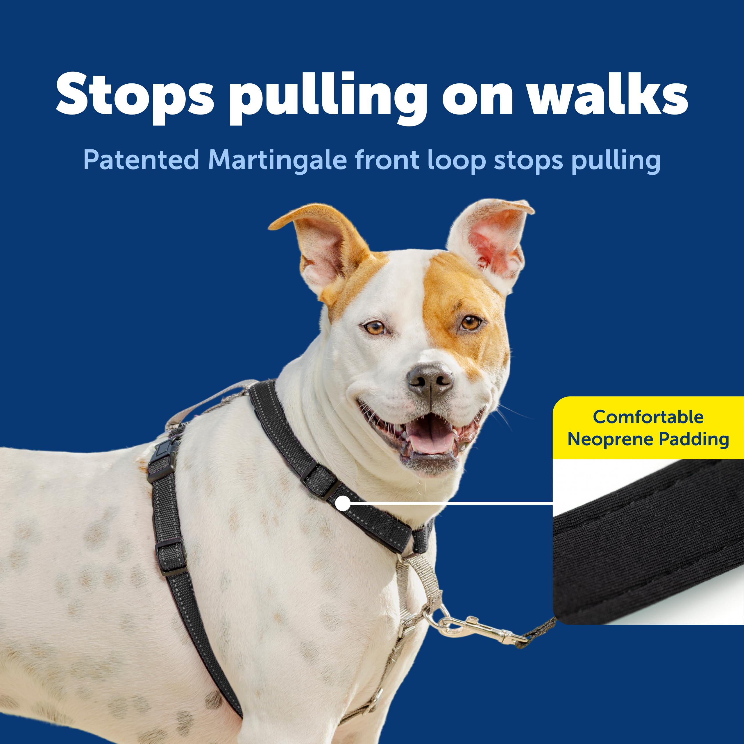 PetSafe arnés transpirable y reflectante para visibilidad nocturna