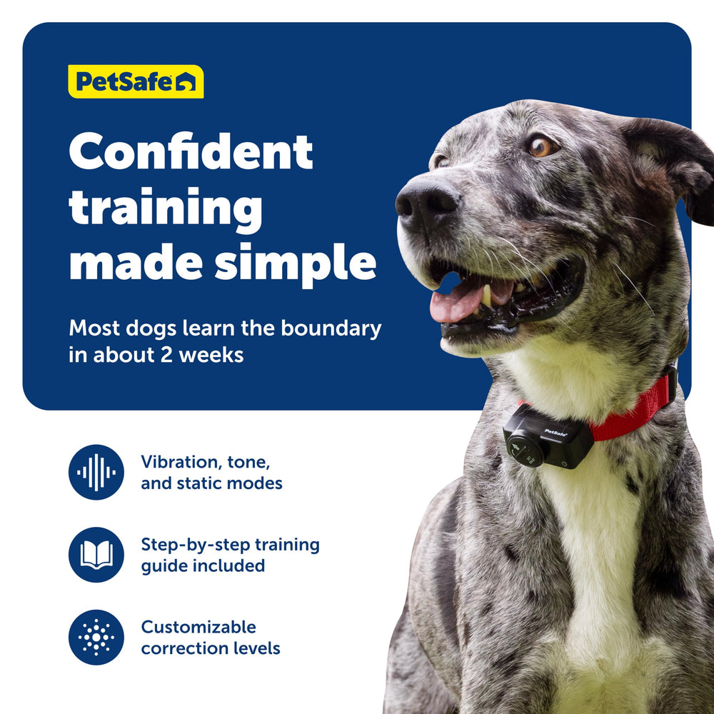 PetSafe banderas delimitadoras para delimitar zonas de forma clara.