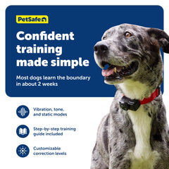 PetSafe banderas delimitadoras para delimitar zonas de forma clara.