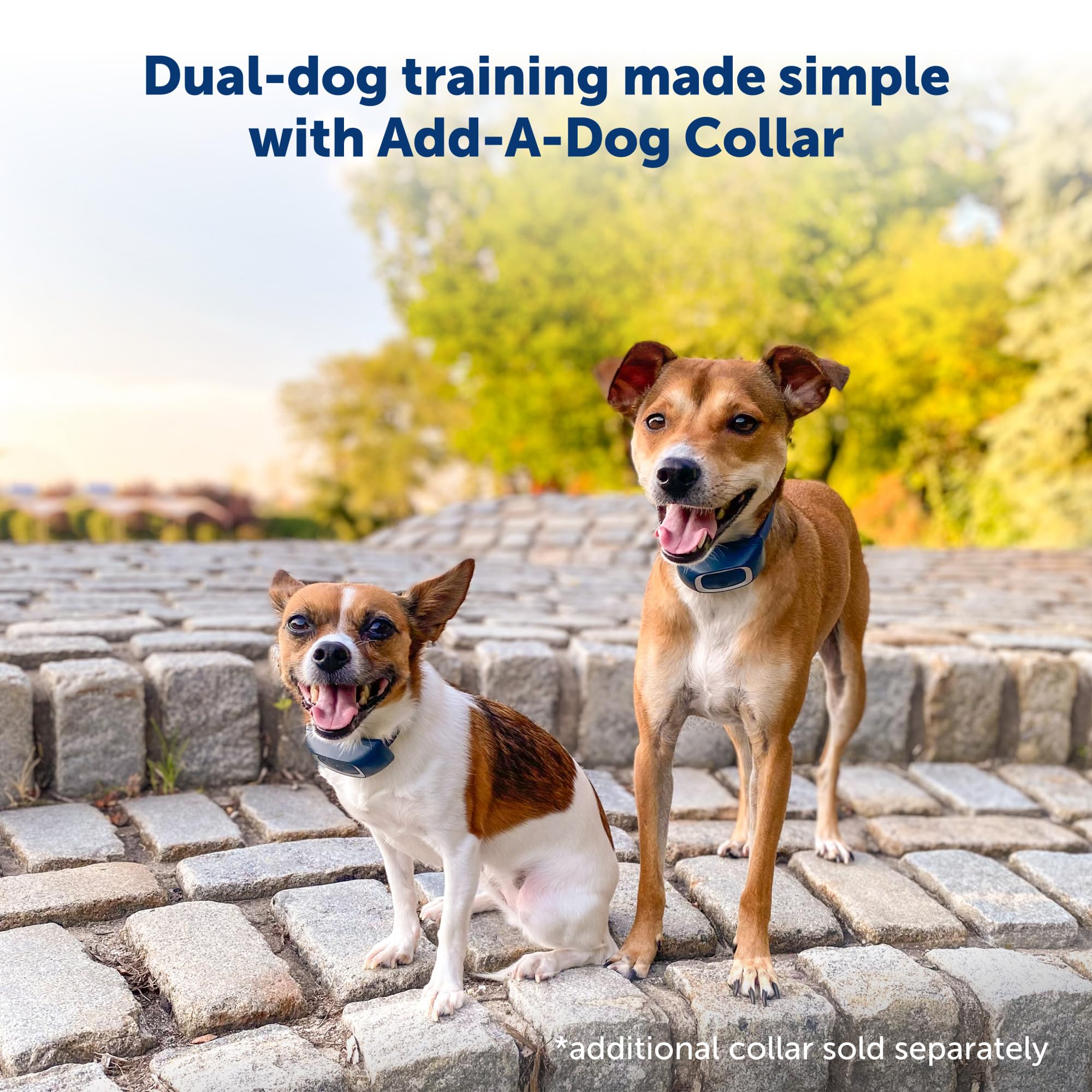 PetSafe Batería de larga duración, hasta 40 horas con carga rápida
