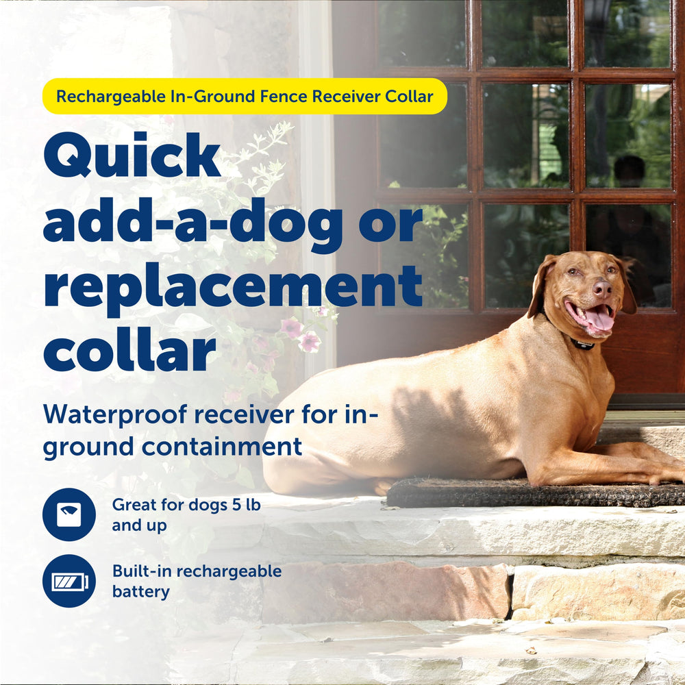 PetSafe receptor recargable, carga rápida para menos interrupciones diarias.