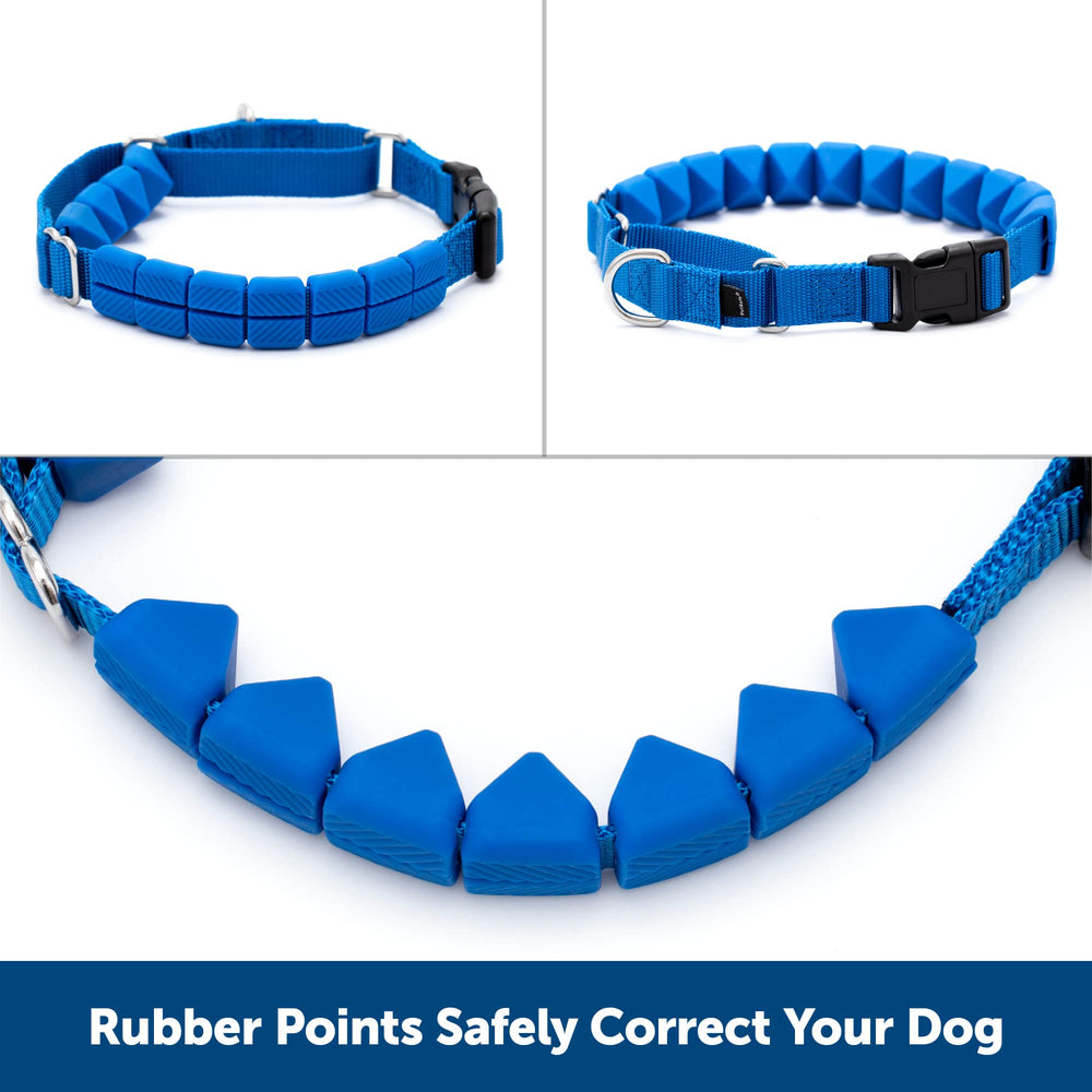 PetSafe Collar con cierre rápido para ponérselo y quitárselo con facilidad