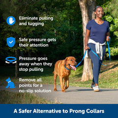 PetSafe Collar 2 en 1 con puntos removibles para adaptar el entrenamiento
