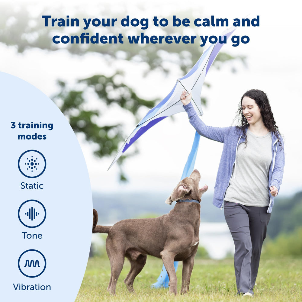 PetSafe Collar de entrenamiento resistente e impermeable para aventuras al aire libre