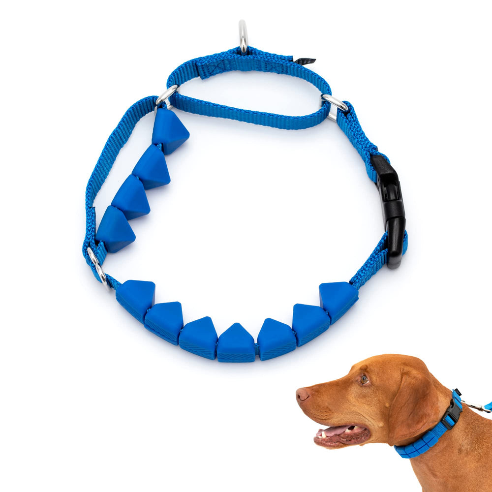 PetSafe Collar Soft Point con puntos suaves para entrenamiento cómodo y sin tirones