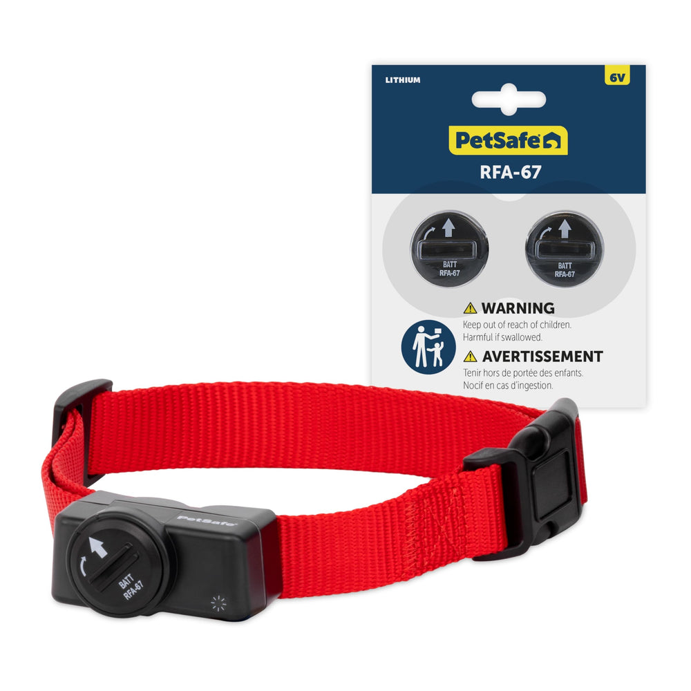 PetSafe collar receptor inalámbrico para perros, cómodo y seguro.
