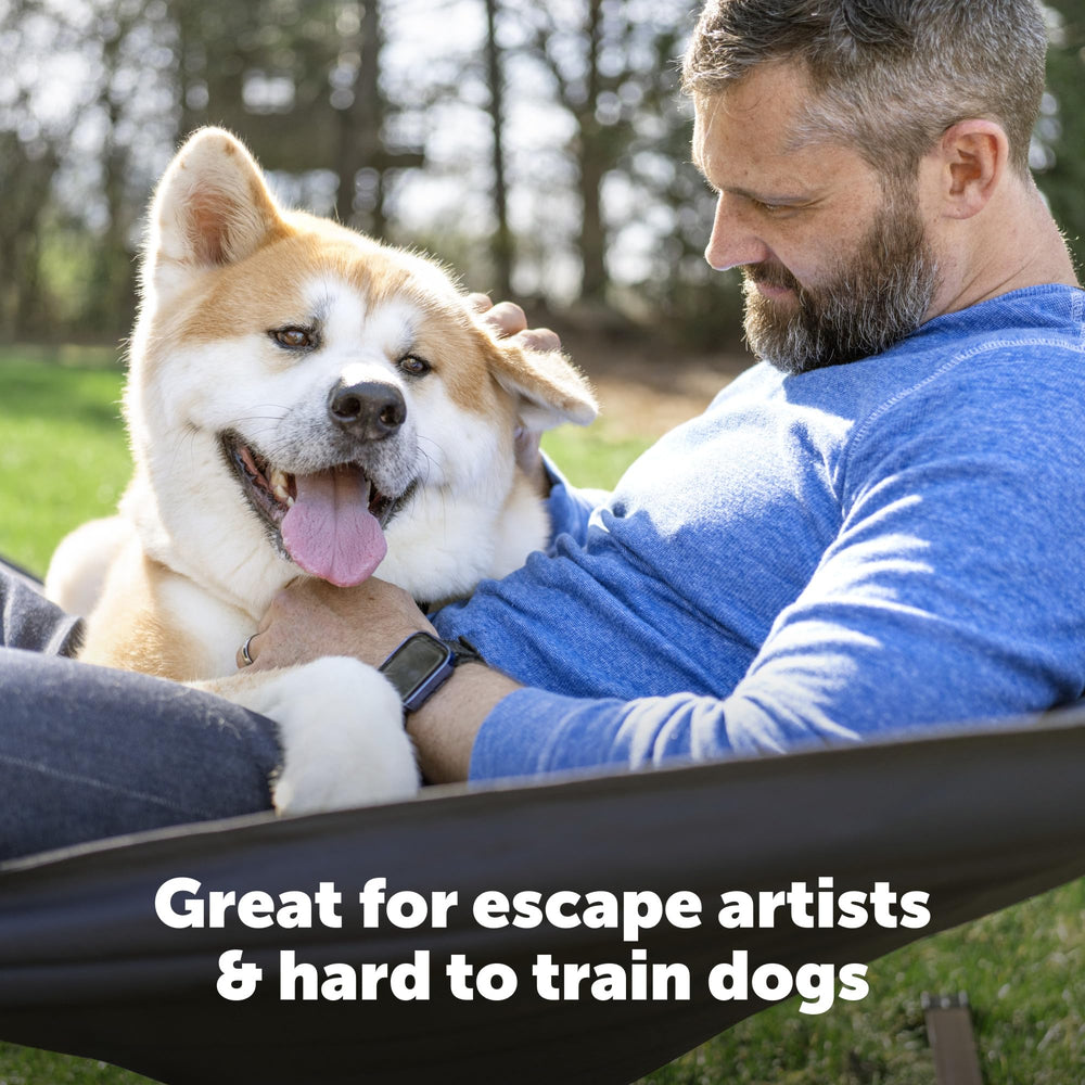 Collar receptor PetSafe resistente al agua para uso al aire libre