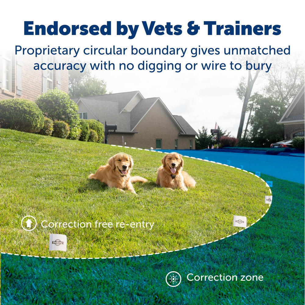 PetSafe collar receptor resistente al agua para perros.
