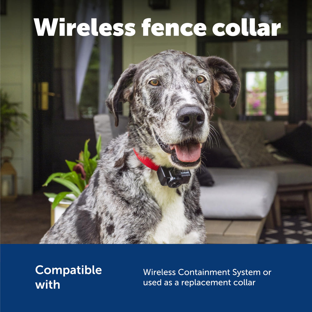 PetSafe configuración rápida en 1–2 horas para tranquilidad.