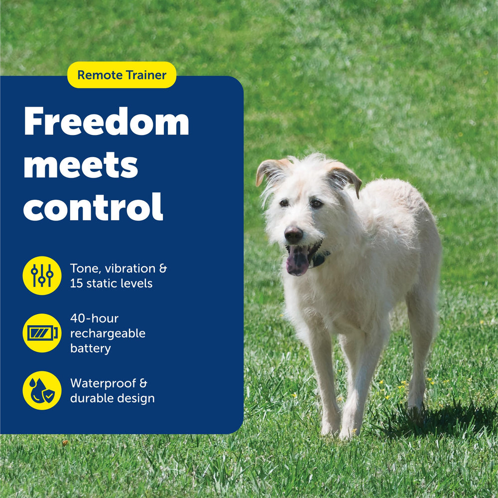 Control remoto compacto de PetSafe cabe en la palma para entrenamiento práctico.