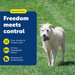Control remoto compacto de PetSafe cabe en la palma para entrenamiento práctico.