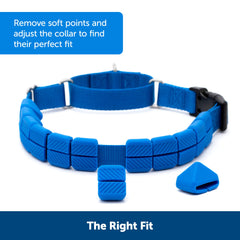 PetSafe Collar de nylon resistente para uso diario y ajuste seguro