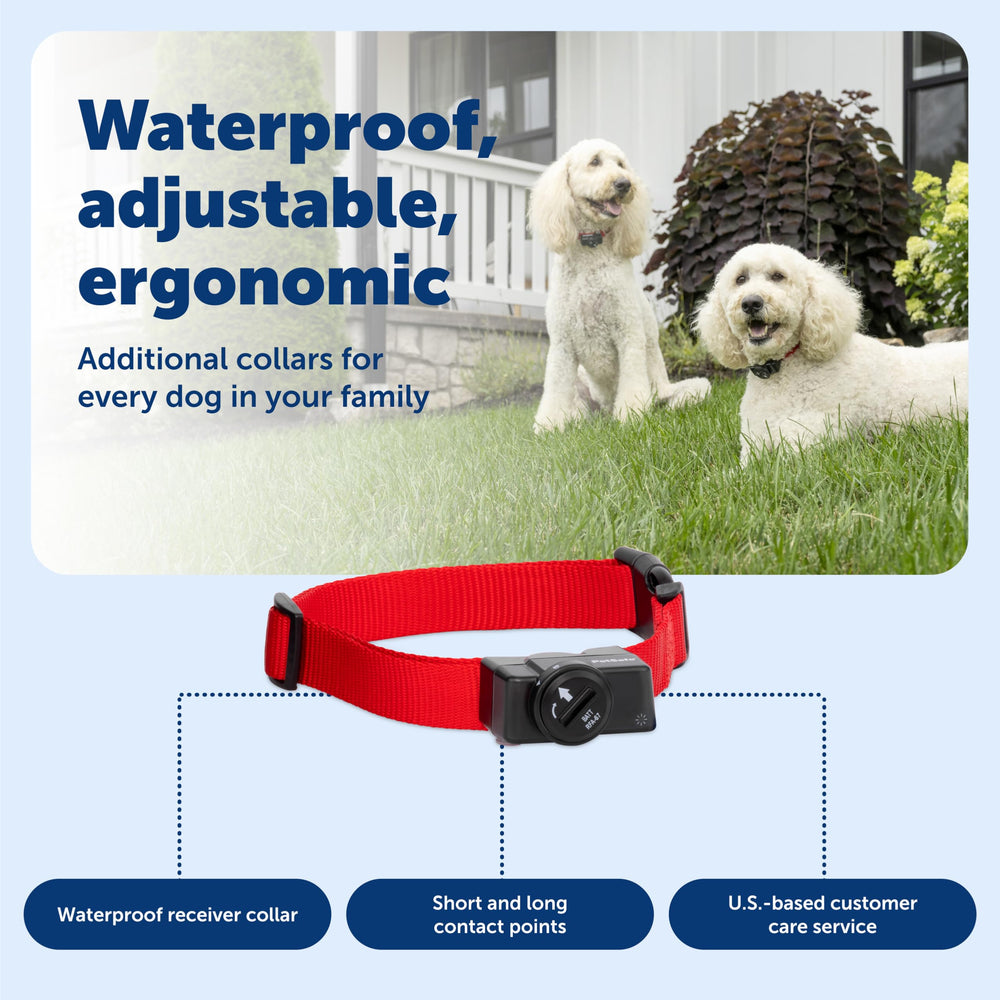 PetSafe collar ajustable de 6 a 28 pulgadas para perros.